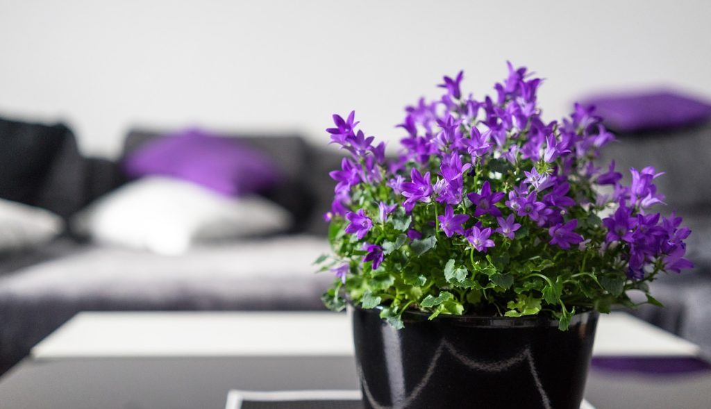 7 avantaje ale florilor artificiale in decorarea apartamentului